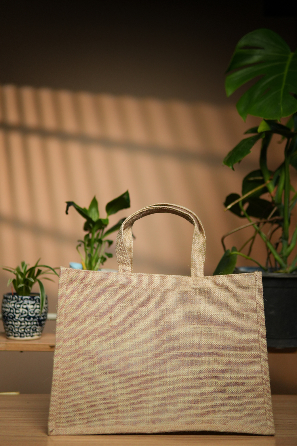 Natural Jute Bag